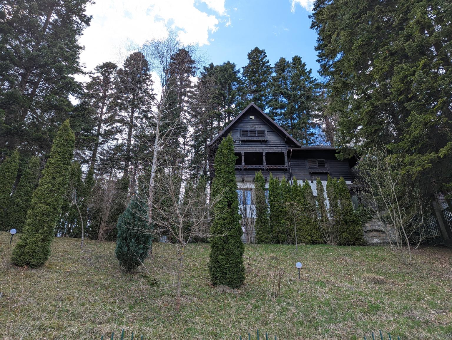 Vila Cerbul