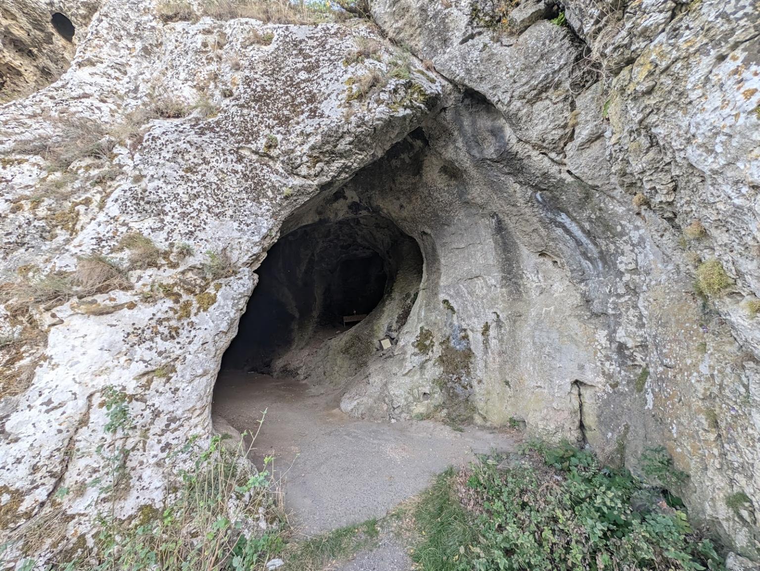 Peștera La Izvor (Pustinicului)